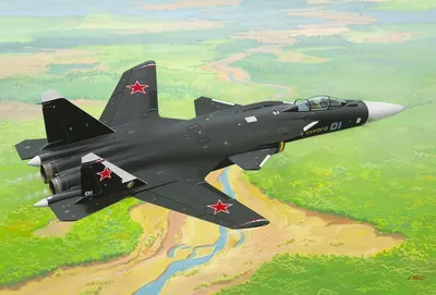 Су-37 (неплоский плосколет) — Паркфлаер
