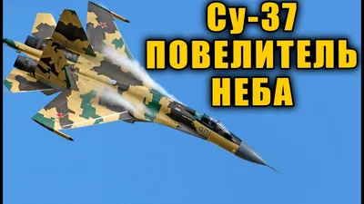 Сухой \"Су-47 / С-37 Беркут\", Истребитель | Энциклопедия военной техники