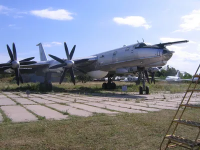 Ту-142 - BEAR-F / BEAR-J | MilitaryRussia.Ru — отечественная военная  техника (после 1945г.)