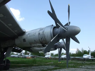 ВКС перебросили на Кубань противолодочные самолеты Ту-142 после конфликта с  эсминцем Британии