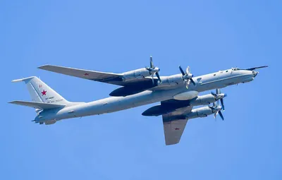 Дальний противолодочный самолет Ту-142 - Галерея - ВПК.name