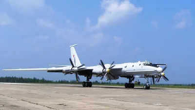 Вид сзади советского самолета Ту-142 Bear F Mod III \"воздух-воздух\" -  Национальные архивы США и DVIDS Поиск в мировом общественном достоянии