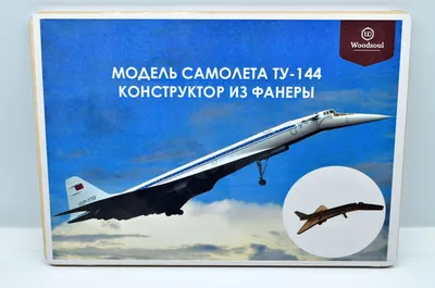 Модель-конструктор самолета из фанеры Ту-144 – купить за 525 руб |  Интернет-магазин \"ВИНЕГРЕТ\"