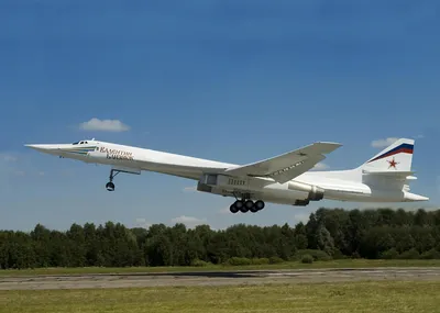 Два Ту-160 выполнили 14-часовой полет над Баренцевым и Норвежским морями -  РИА Новости, 26.04.2023