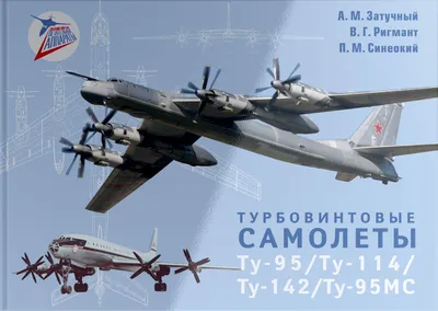 Модель самолета Ту-95МС (М1:100, Москва, RF-94126, 12) – купить в  интернет-магазине, цена, заказ online