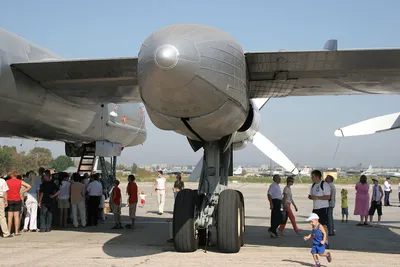 Ветеран холодной войны: Ту-95 совершил первый полет 68 лет назад -  Российская газета