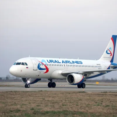 Самолет «Уральских авиалиний», приземлившийся в поле, продолжит летать — РБК