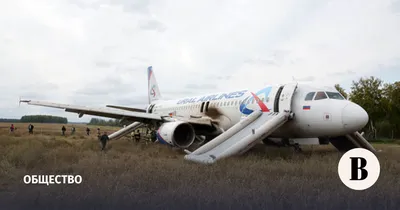 Уральские авиалинии» заявили, что собираются летать на самолете, который  сел в пшеничном поле в Новосибирской области - 22 сентября 2023 - e1.ru