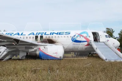 Посадка Airbus A320 \"Уральских\" в поле под Новосибирском. | Капитан A320 |  Дзен