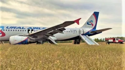 Авиакомпания «Уральские авиалинии» заявила об экстренной посадке самолета  Airbus A320 - Союзное Вече
