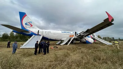 В «Уральских авиалиниях» прокомментировали посадку самолета Airbus A320 в  поле - Газета.Ru | Новости