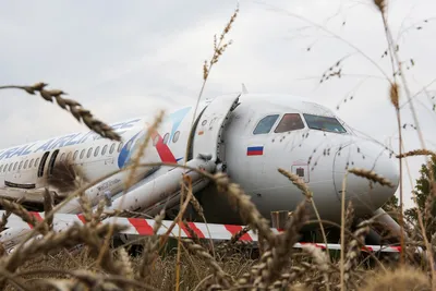 Что известно об экстренной посадке Airbus A320 под Новосибирском
