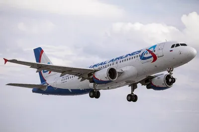 Хроника и причины аварийной посадки самолета «Уральских авиалиний» в поле  под Новосибирском – последние новости