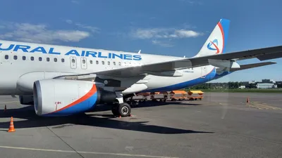 Парк \"Уральских авиалиний\" пополнился еще одним лайнером Airbus A321 -  AEX.RU