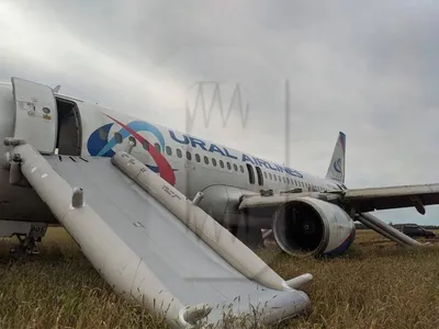 Пассажиры самолета Smartavia не могут вылететь в Мурманск - новости  Хибины.ru / Новости за сентябрь 2023