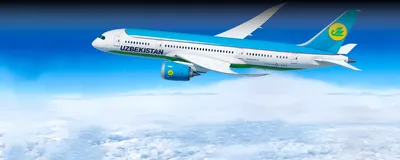 В 2022 году авиакомпания Uzbekistan Airways запустит прямой рейс из  Намангана в Оренбург : Урал56.Ру. Новости Орска, Оренбурга и Оренбургской  области.