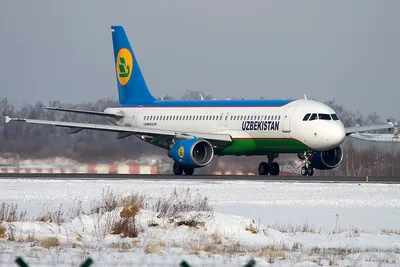 UzNews - Самолеты из Узбекистана не смогли приземлиться в Москве из-за  закрытия воздушного пространства