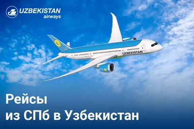 Летевший в Гоа самолет перенаправили в Узбекистан из-за угрозы взрыва