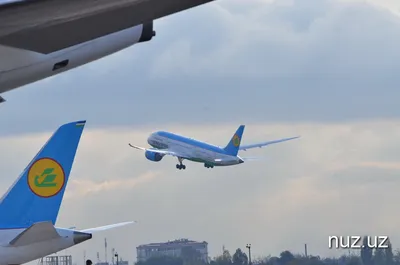 Летевший в Наманган самолет совершил экстренную посадку в Ташкенте –  Новости Узбекистана
