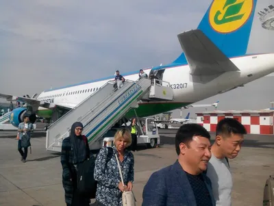 В какие города самолеты из Ташкента станут летать чаще