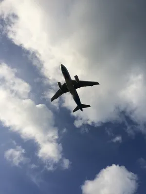 Самолет в небе фото с земли 