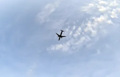Голый пассажир посадил самолет на Аляске :: Новости :: ТВ Центр