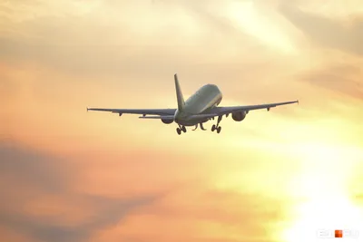 Большой современный самолет летит в небе вид снизу от земли до живота  самолета | Премиум Фото