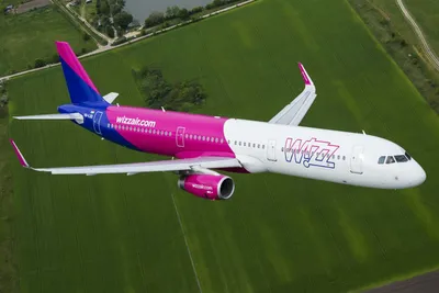 Авиакомпания Wizz Air: было сделано все возможное для спасения пассажира -  08.01.2023, Sputnik Грузия