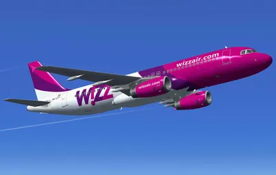 Wizz Air меняет правила провоза ручной клади. В лучшую сторону | Будапешт,  Самолет, Селена