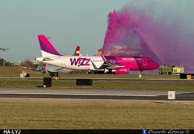 Все, что вы хотели знать о Wizz Air, но боялись спросить - Dreamkarta