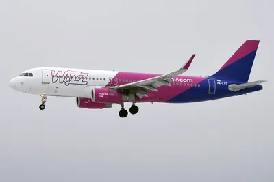 Самолет wizzair фото 