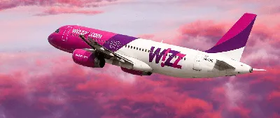 Самолет Wizz совершил экстренную посадку из-за израильского драчуна на борту