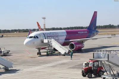 Wizz Air высадила из самолета украинского ветерана с протезом - реакция МИД  - 24 Канал