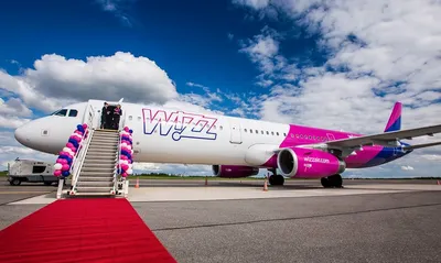 Украинского ветерана с протезом сняли с рейса авиакомпании Wizz Air |  Новости на Громадськом радио