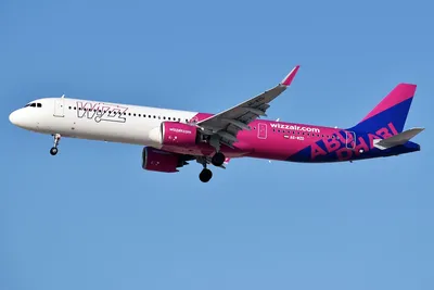 Застрявшие в Украине самолеты — глава Wizz Air рассказал о лайнерах  компании, оставшихся в Киеве / NV