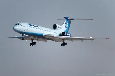 Авиакомпания \"Алроса\" передала Ту-154 \"Ижма\" в новосибирский музей истории  авиации - AEX.RU