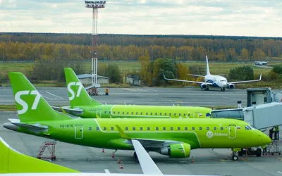 Самолет авиакомпании S7 совершил вынужденную посадку из-за проблем с  двигателем в Новосибирске - AEX.RU