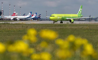 Cariverga | Обзор: S7 Airlines, бизнес-класс (737), Красноярск – Москва