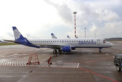 Фотофакт: новый самолет «Белавиа» в юбилейной раскраске, авиакомпании 25  лет - KP.RU
