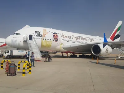 Купить сборную модель самолета Airbus A380 Emirates Wild-Life, масштаб  1:144 (Revell)