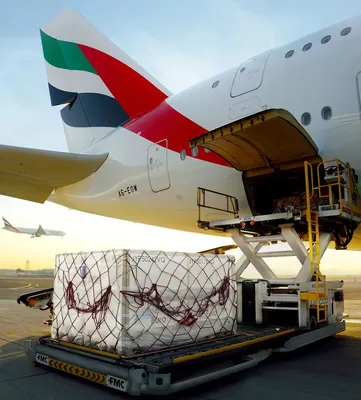 В авиакомпании Emirates допускают, что в будущем появится самолет с одним  пилотом - Афиша Daily