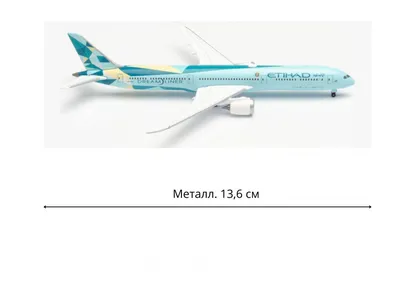 В США прошла презентация первого Boeing 787-9 Dreamliner для Etihad Airways  - AEX.RU