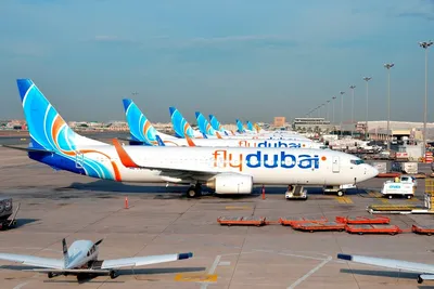Полет из Москвы в Дубай на современном лайнере Boeing 737 max8 компании Fly  Dubai. Комфортный салон, хорошая еда и платный просмотр фильмов. | Мир в  кармане. | Дзен