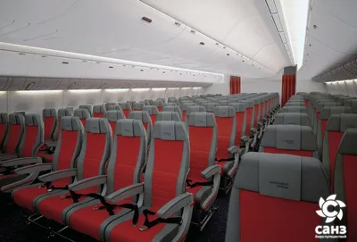 Новые кресла в самолётах Nordwind на рейсах из Красноярска | Санз