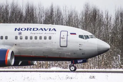Акционеры «Нордавиа» и Red Wings решили объединить авиакомпании — РБК