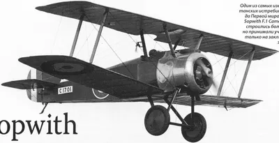 Об англо-французской бомбардировочной авиации на Западном фронте Первой  мировой войны