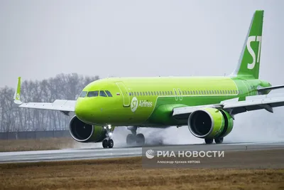 Самолеты авиакомпании S7 в аэропорту Толмачево в Новосибирске | РИА Новости  Медиабанк