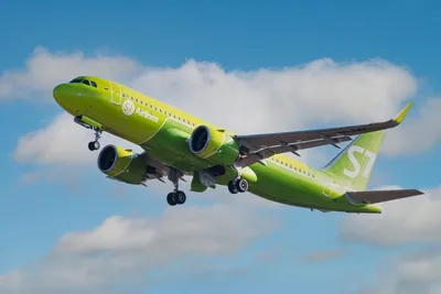 Купить 534260 Самолет S7 Airlines Boeing 737 Max 8 1:500 за 4 200 руб. в  интернет-магазине ЕвроМодель