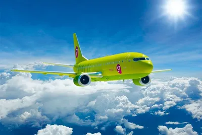 S7 Airlines побелила зеленый самолет: он стал объектом творчества уличного  художника