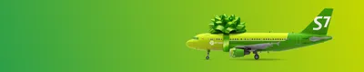 Модель самолета Аэробус А320 Сибирь s7 airlines - купить с доставкой по  выгодным ценам в интернет-магазине OZON (289407035)